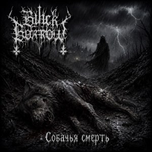 Black Borrow - Проклятье Паганини